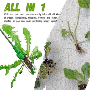 Standing Plant Root Remover - Awesales