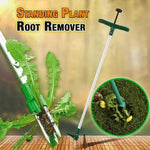 Standing Plant Root Remover - Awesales